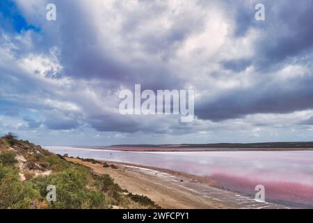 Das Ufer und der Strand des extrem salzigen Pink Lake (Hutt Lagoon) in der Nähe von Port Gregory, Kalbarri, Coral Coast, Western Australia an einem bewölkten Sommertag Stockfoto