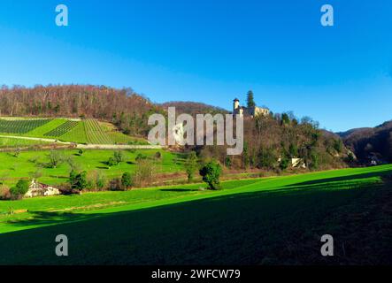 Burg Birseck befindet sich in der Gemeinde Arlesheim im Kanton Basel-Land. Schweiz. Birseck Castle befindet sich auf einer Stockfoto