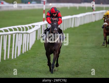 Les's Destiny Star gewinnt Sky Sports Racing HD Virgin 519 Open National Hunt Flat Race in Doncaster am 28. januar für Ben Pauling und Ben Jones. Stockfoto