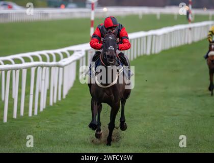 Les's Destiny Star gewinnt Sky Sports Racing HD Virgin 519 Open National Hunt Flat Race in Doncaster am 28. januar für Ben Pauling und Ben Jones. Stockfoto