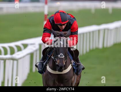 Les's Destiny Star gewinnt Sky Sports Racing HD Virgin 519 Open National Hunt Flat Race in Doncaster am 28. januar für Ben Pauling und Ben Jones. Stockfoto