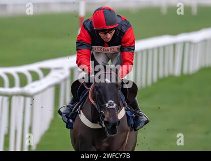 Les's Destiny Star gewinnt Sky Sports Racing HD Virgin 519 Open National Hunt Flat Race in Doncaster am 28. januar für Ben Pauling und Ben Jones. Stockfoto