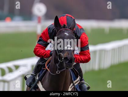 Les's Destiny Star gewinnt Sky Sports Racing HD Virgin 519 Open National Hunt Flat Race in Doncaster am 28. januar für Ben Pauling und Ben Jones. Stockfoto