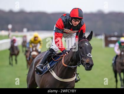 Les's Destiny Star gewinnt Sky Sports Racing HD Virgin 519 Open National Hunt Flat Race in Doncaster am 28. januar für Ben Pauling und Ben Jones. Stockfoto