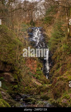 Ein Wasserfall am Allen a’ Mhangam Burn im Queen Elizabeth Forest bei Aberfoyle, Trossachs, Stirling, Schottland Stockfoto
