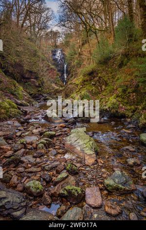 Ein Wasserfall am Allen a’ Mhangam Burn im Queen Elizabeth Forest bei Aberfoyle, Trossachs, Stirling, Schottland Stockfoto