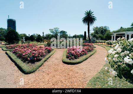 Buenos Aires, Argentinien - 2. dezember 2023 Blick auf das Rosedal im Bosques de Palermo Park. Palermos Waldpark. Hochwertige Fotos Stockfoto