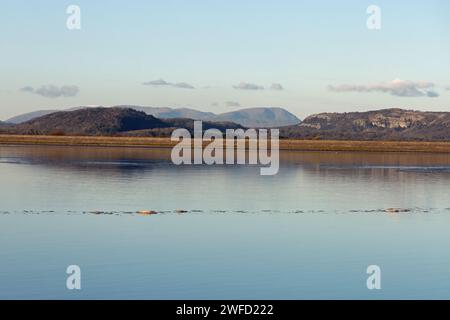 Meathop Fell und Whitbarrow überblickten den Fluss Kent von Arnside Westmorland und Furness England Stockfoto