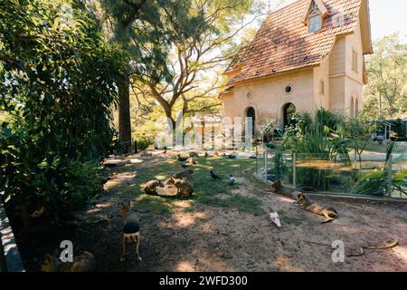 Ecopark, Stadt Buenos Aires, Argentinien - 6. Februar 2023 Kunstwerk des Glattwals. Hochwertige Fotos Stockfoto