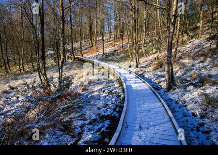 Eine schneebedeckte Promenade durch den Wald bei Brig o' Turk, Trossachs, Stirling, Schottland Stockfoto