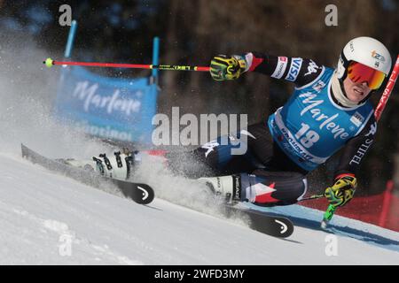 Kronplatz, Südtirol, Italien. 30. Januar 2024. Audi FIS Ski Damen WM; AJ Hurt (USA) Credit: Action Plus Sports/Alamy Live News Stockfoto