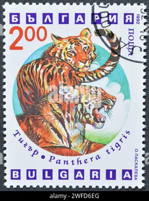 Gestempelte Briefmarke, gedruckt von Bulgarien, die Tiger (Panthera tigris) zeigt, um 1992. Stockfoto