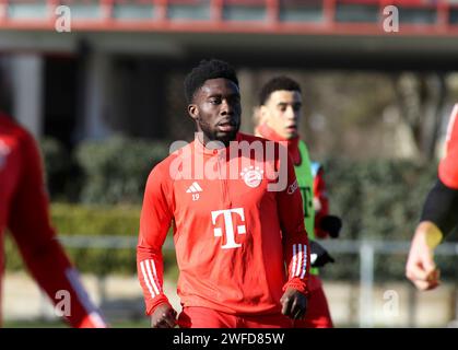 München, Deutschland 30. Januar 2024: Fussball, Herren, Saison 2023/2024, FC Bayern München, Säbener Straße, Trainingsgelände, Training, öffentliches Training Alphonso Davies (FC Bayern München) Kopf, Oberkörper Stockfoto