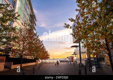 NORTH VANCOUVER, BC, KANADA - 19. Oktober 2022: Frau, die ihren Hund an der Promenade in der Nähe der Werften am Lonsdale Quay mit Blick auf die Innenstadt von Vancouv führt Stockfoto