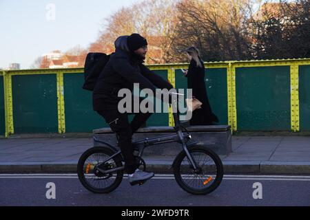 Ein Radfahrer pendelt in Hackney, East London, in der frühen Morgensonne. Stockfoto