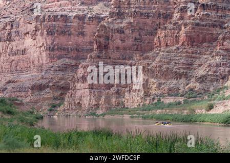 Floßgruppe fährt durch Cataract Canyon, Canyonlands National Park, Utah. Stockfoto