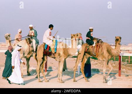 Doha Qatar 1977 – Archivbild eines Kamelrennens, das auf der Rennstrecke in Al Rayann, einem Vorort von Doha, der Hauptstadt Katars, im Arabischen Golf beginnt Stockfoto