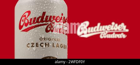 Dnipro, Ukraine 14. november 2023: Budweiser tschechisches Bier in einer Dose Logo mit Tropfen. Stockfoto