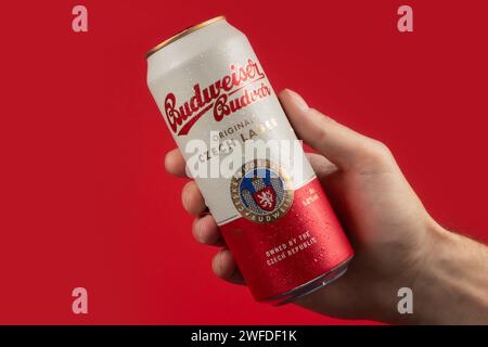 Dnipro, Ukraine 14. november 2023: Budweiser Budvar Original tschechisches Lagerbier in Aluminiumdose und Wassertropfen in der Hand. Stockfoto