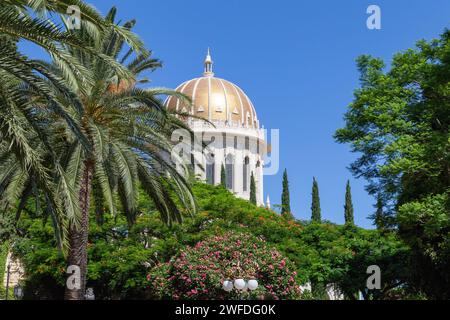 Hängende Gärten von Haifa (Bahá’í-Gärten) in der Stadt Haifa (Israel) Stockfoto