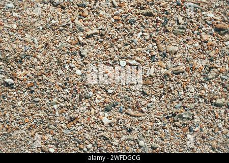 Tote Korallenfragmente liegen am Strand, Strandstruktur, felsiger Strand. Textur von Kieselsteinen rot und schwarz Quarzboden. Koralle mit Schale auf sonnigem beac Stockfoto