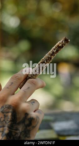 Eine tätowierte Hand, die einen Marihuana-Blunt im Outdoor-Park hält Stockfoto