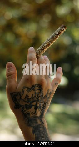 Eine tätowierte Hand, die einen Marihuana-Blunt im Outdoor-Park hält Stockfoto