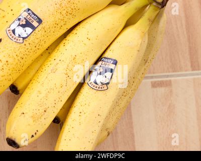 Hübsche Liza Banane. Stockfoto