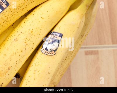 Hübsche Liza Banane. Stockfoto