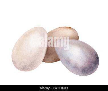 Drei Hühnereier Shell. Symbole der Osterfeier. Design für Karte. Aquarell handgezeichnete Malerei Illustration isoliert auf weißem Hintergrund Stockfoto