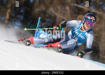 Kronplatz, Südtirol, Italien. 30. Januar 2024. Audi FIS Ski Damen WM; Sofia Goggia (ITA) Credit: Action Plus Sports/Alamy Live News Stockfoto