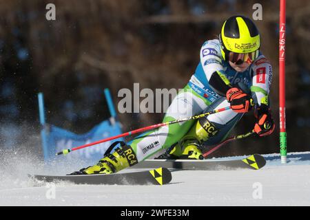 Kronplatz, Südtirol, Italien. 30. Januar 2024. Audi FIS Ski Damen WM; Neja Dvornik (SLO) Credit: Action Plus Sports/Alamy Live News Stockfoto