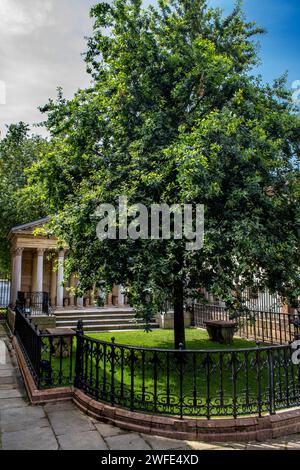 Die Eiche ist das Symbol der baskischen Freiheit, der Baum von Gernika vor dem Versammlungshaus Casa de las juntas, Gernika Guernica, Bizkaia, Baskenland Cou Stockfoto