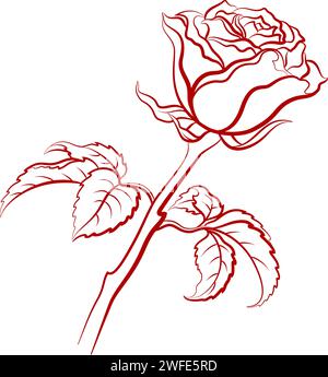 Rosenblume mit Blättern Rote Kontur isoliert auf weißem Hintergrund. Vektor Stock Vektor