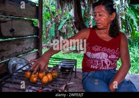 Frau, die Pijuayo Palmenfrüchte auf Feuer zubereitet traditionelle Methode in Timicuro I, Iqutios peruanischen amazonas, Loreto, Peru. Der Pijuayo wurde als t definiert Stockfoto