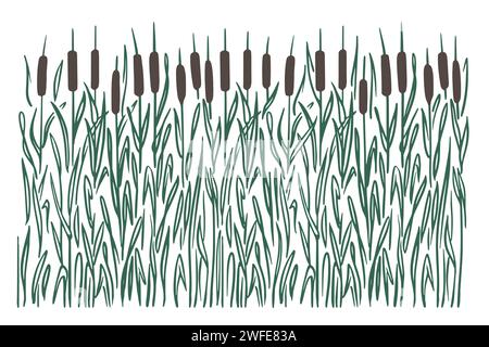 Bulrush Sumpfpflanze, farbige Silhouette auf weißem Hintergrund. Nahtloses Muster horizontal. Skizzenstil kritzeln. Vektor. Stock Vektor