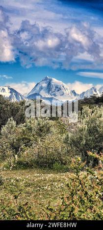 Ein riesiges Grasland mit üppiger Vegetation und einer herrlichen Bergkette Stockfoto