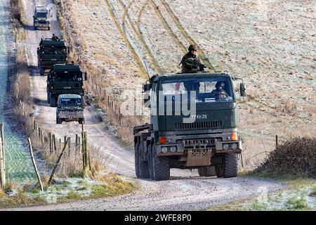 Salisbury Plain, Wiltshire, Vereinigtes Königreich - 11. Februar 2010: Ein DAF 8X8 Drops-Fahrzeug der britischen Armee Leyland auf dem Salisbury Plain Trainingsgebiet in Wiltshire, Vereinigtes Königreich Stockfoto