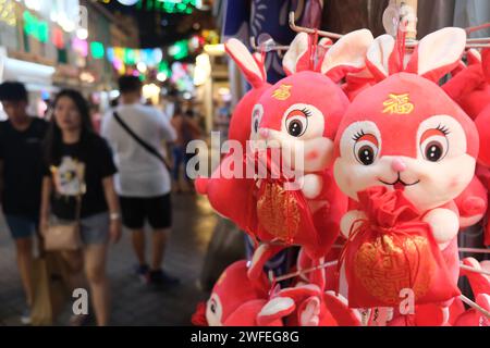 Kuschelspielzeug zum Jahr des Kaninchens im Neujahrsmond 2023 in Singapurs Chinatown Stockfoto