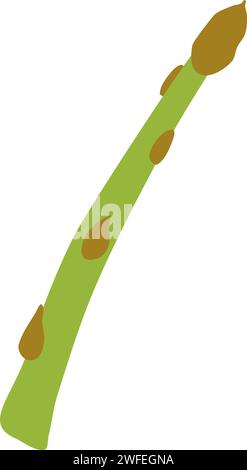 Spargel Vector Illustration Stock Vektor