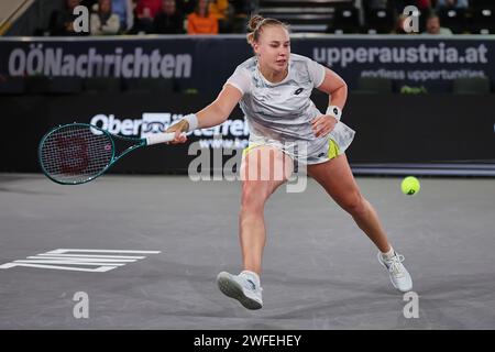 Linz, Oberösterreich, Österreich. 30. Januar 2024. Anna Blinkova in Aktion während der Oberösterreich Damen Linz - Damen Tennis, WTA500 (Credit Image: © Mathias Schulz/ZUMA Press Wire) NUR REDAKTIONELLE VERWENDUNG! Nicht für kommerzielle ZWECKE! Stockfoto