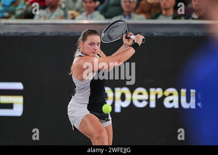 Linz, Oberösterreich, Österreich. 30. Januar 2024. Jule Niemeier (DE) in Aktion während der Oberösterreich Damen Linz - Damen Tennis, WTA500 (Credit Image: © Mathias Schulz/ZUMA Press Wire) NUR REDAKTIONELLE VERWENDUNG! Nicht für kommerzielle ZWECKE! Stockfoto