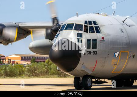 Lockheed C-130 Hercules Frachtflugzeug der belgischen Luftwaffe trifft auf dem Luftwaffenstützpunkt Saragossa ein. Saragossa, Spanien - 20. Mai 2016 Stockfoto