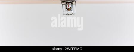 An der Decke installierter Sprinkleranlage Brandschutzanlagen in modernen Gebäuden Stockfoto