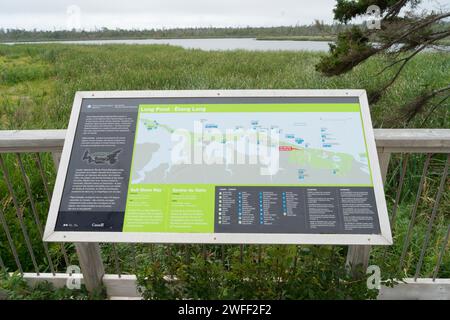 Informationstafel mit Karte des Gulf Shore Way im Prince Edward Island National Park, Kanada Stockfoto