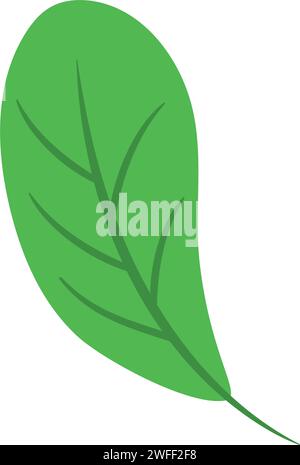 Isolierter farbiger natürlicher Blattsymbol Vektor Stock Vektor
