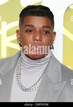 London, Großbritannien. 30. Januar 2024. Davo nimmt an der britischen Premiere von „Bob Marley: One Love“ im BFI IMAX Waterloo in London Teil. Quelle: SOPA Images Limited/Alamy Live News Stockfoto