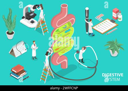 Menschliche Darmflora, Gesundes Verdauungssystem. Konzeptuelle 3D-Illustration des Isometrischen flachen Vektors. Stock Vektor