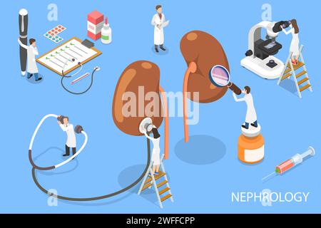 3D Isometrischer Flachvektor Konzept der Nephrologie Klinische Forschung, Erhaltung der Nierengesundheit. Stock Vektor