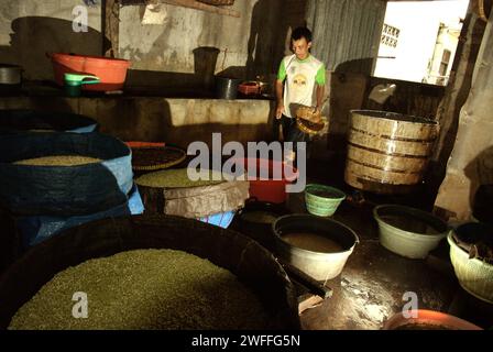 Eine Bohnensprossen-Farm in Jakarta, Indonesien. Mungbohnensprossen sind ein kulinarisches Gemüse, das aufgrund seiner Anpassungsfähigkeit und seiner nahrhaften Vorteile seit der Antike in Ost- und Südostasien weit verbreitet angebaut und konsumiert wird, laut einem Forscherteam unter der Leitung von Mohammad Zakerin Abedin (Abteilung für Botanik, Mikrobiologie-Labor, Universität Jahangirnagar, Dhaka) In einem 2022 veröffentlichten Aufsatz des South Asian Journal of Research in Microbiology. Mungbohnen können leicht gekeimt werden, indem sie in den Schatten gestellt und bis zur Keimung bewässert werden. Die einzige Voraussetzung ist... Stockfoto